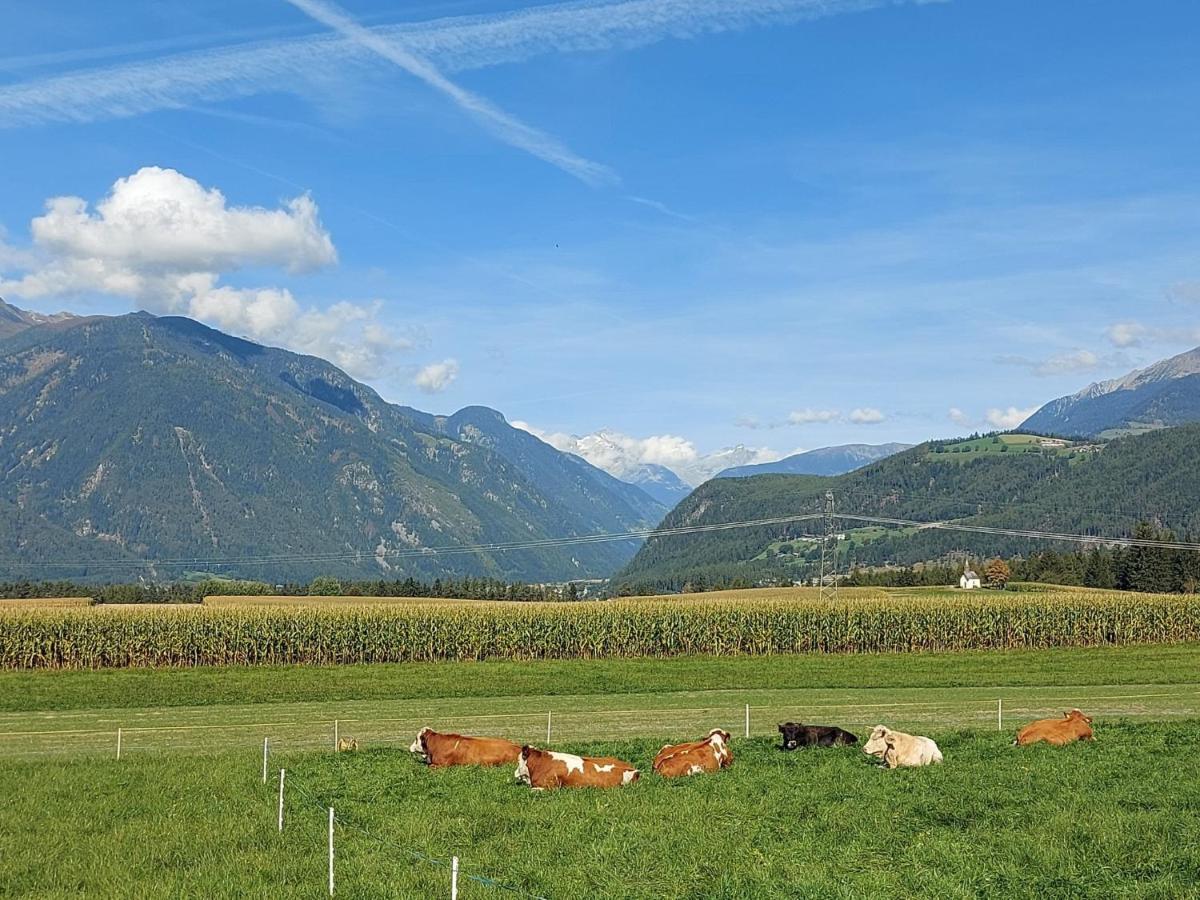 Krebslechnerhof Villa Brunico Esterno foto